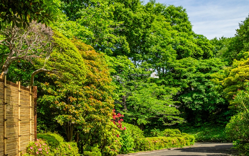 池田山公園（徒歩6分／約480m）